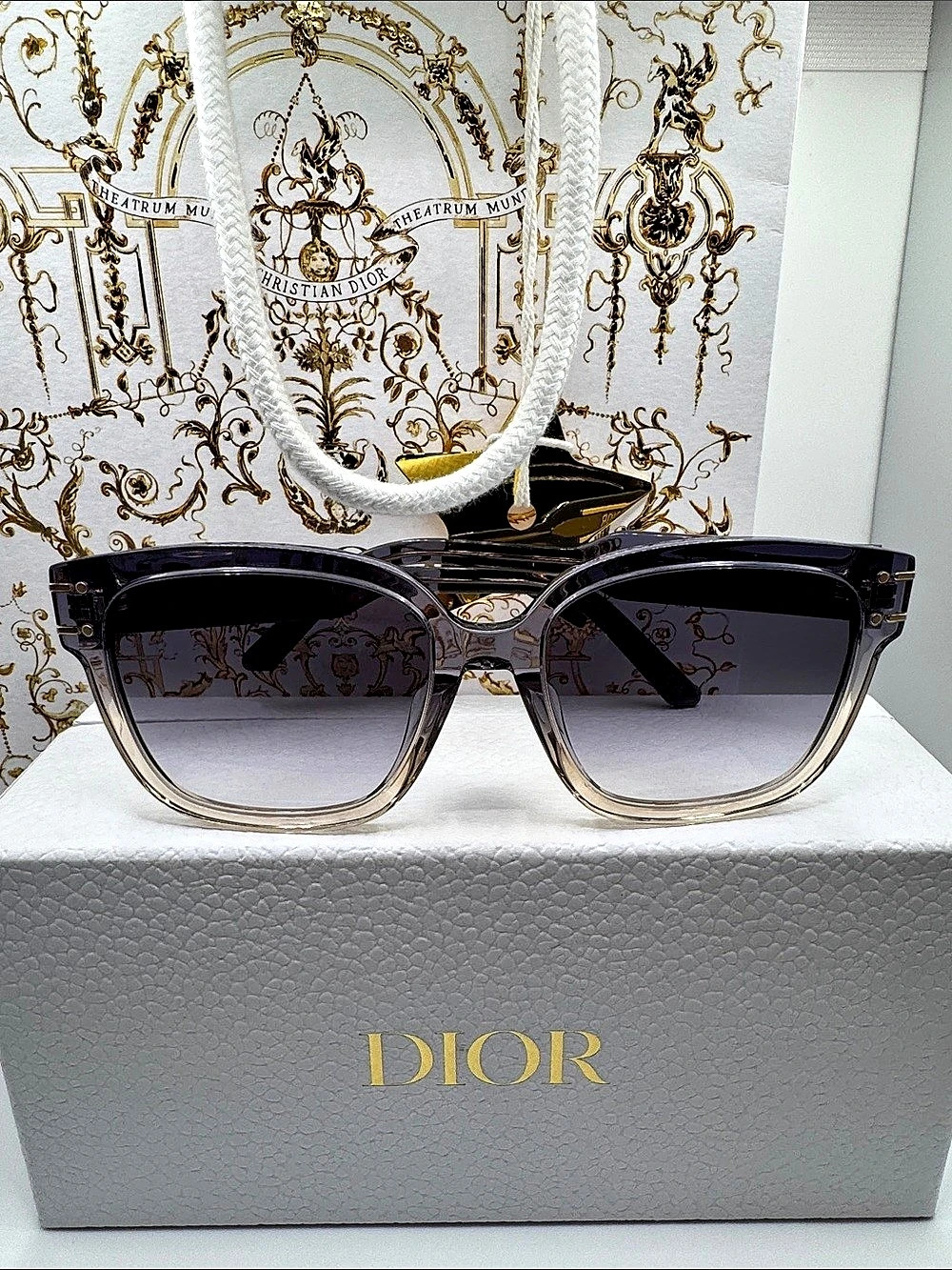 Christian Dior DiorSignature S7F Sunglasses Black & Brown